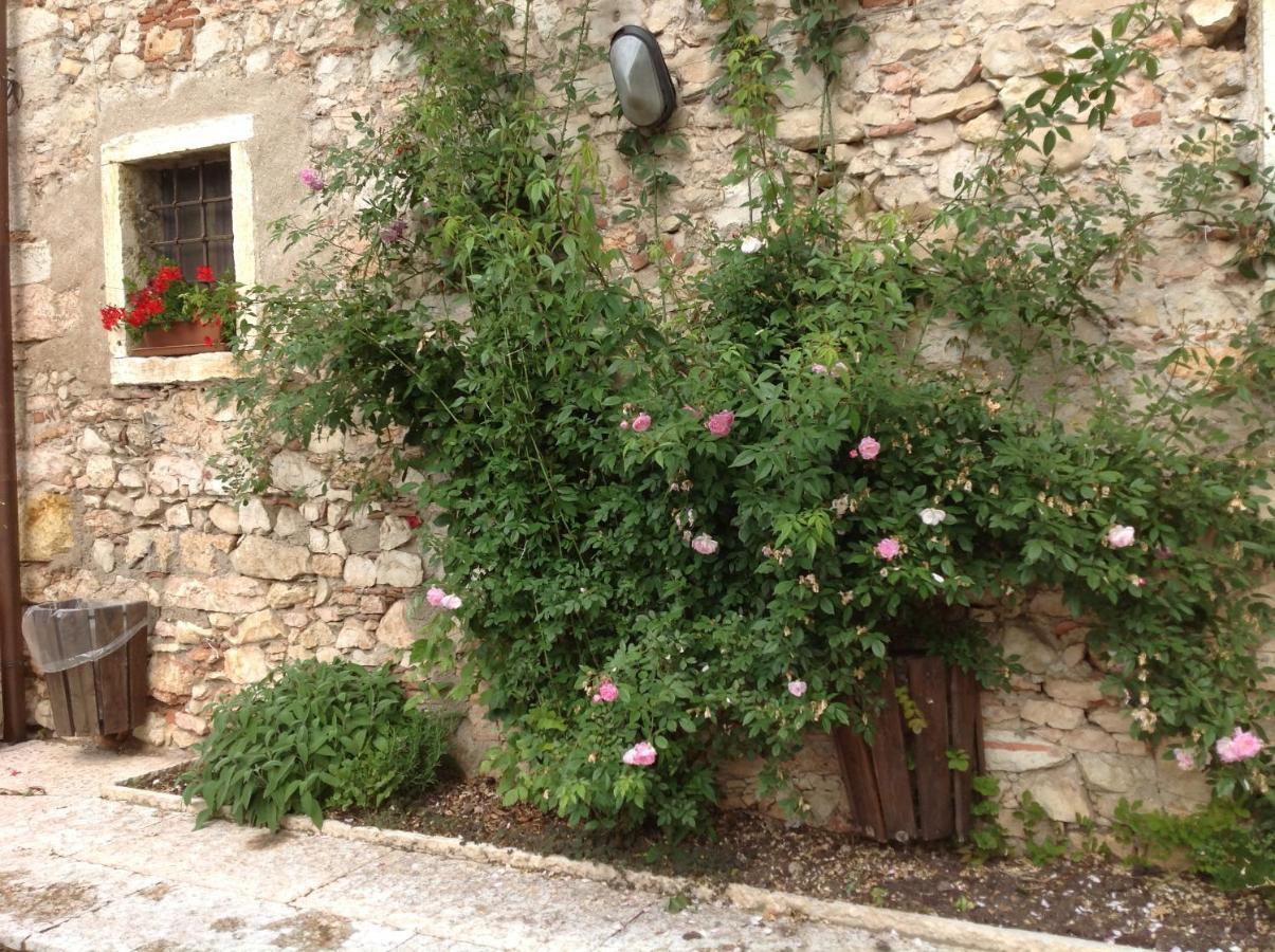 Agriturismo Ca' Verde Sant'Ambrogio di Valpolicella Exterior photo